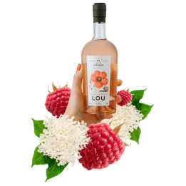 Lou Gin 50cL