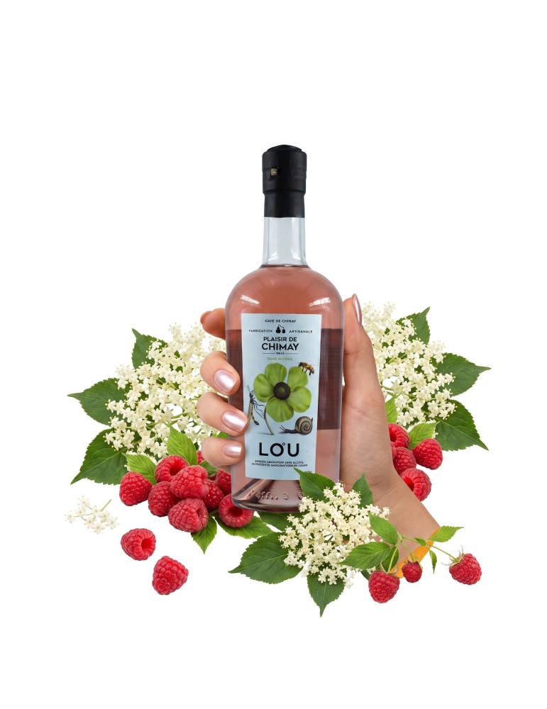 Une bouteille de plaisir de Chimay, Gin sans alcool tenue en main, agrémentée de fleurs de sureau et de framboise. Une bouteille de plaisir de Chimay, Gin sans alcool tenue en main, agrémentée de fleurs de sureau et de framboise.